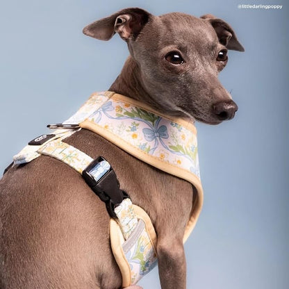 Lucy & Co. Reversible Dog Harness - Water-Repellent Neoprene, Dual-Print Design, Easy Swap Style, Adjustable Comfort Fit - Sunshine Daffodils Reversible Harness - Large