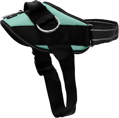ShawnCo Essential Dog Harness, No-Pull Pet Vest (Seafoam,XS) | 3 Leash Clips, Easy On, No-Choke, Reflective, Adjustable Fit, Padded Comfort, Control Handle, For Small, Medium & Large Dogs