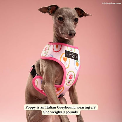 Lucy & Co. Dolce Vita Reversible Dog Harness, Adjustable Comfort Fit with Dual Leash Attachments, Medium