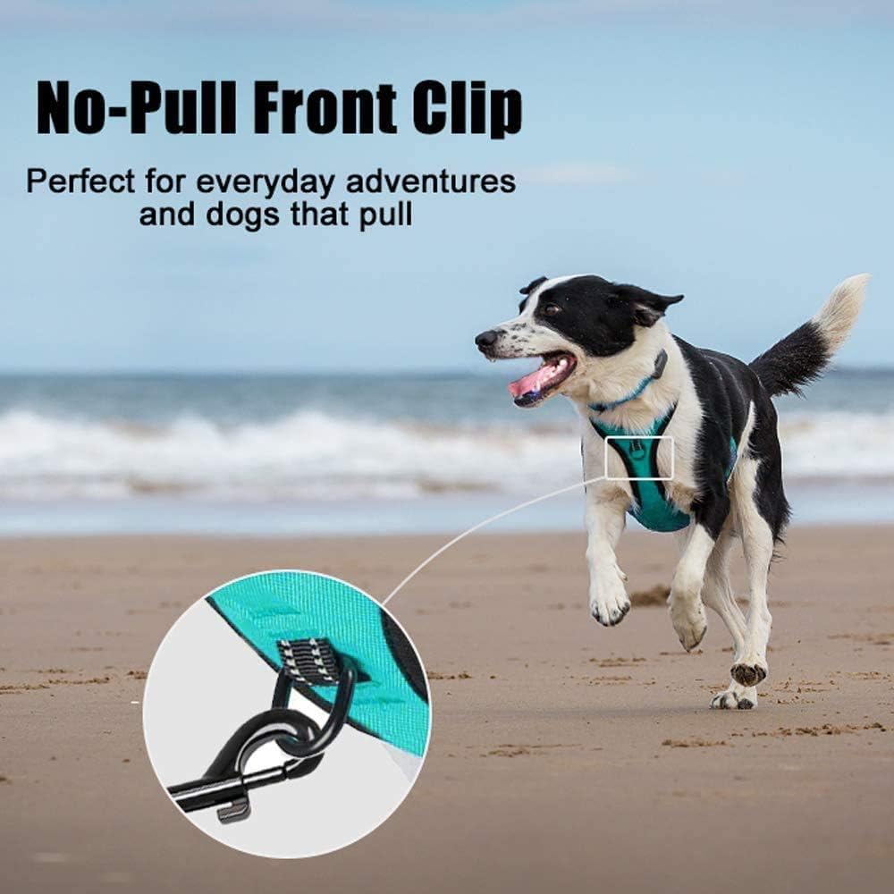 PoyPet No Pull Dog Harness, Reflective Comfortable Vest Harness with Front & Back 2 Leash Attachments and Easy Control Handle Adjustable Soft Padded Pet Vest for Small to Large Dogs (Mint Blue,S)