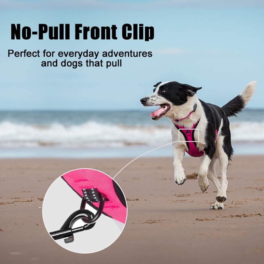PoyPet No Pull Dog Harness, Reflective Comfortable Vest Harness with Front & Back 2 Leash Attachments and Easy Control Handle Adjustable Soft Padded Pet Vest for Small to Large Dogs (Pink,XS)