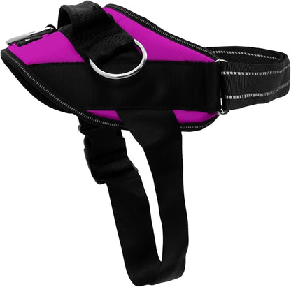 ShawnCo Essential Dog Harness, No-Pull Pet Vest (Orchid,XS) | 3 Leash Clips, Easy On, No-Choke, Reflective, Adjustable Fit, Padded Comfort, Control Handle, For Small, Medium & Large Dogs