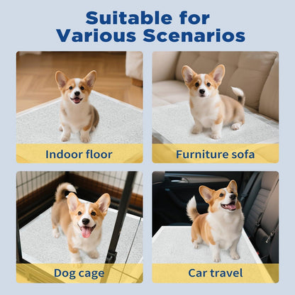50-Pack Pet Training Pads Puppy Pads 5-Layer Leak-Proof Design 22-Inch Square Disposable Pads  Super Absorbent Suitable For Both Cats And Dogs,Only Supports Self-pickup Shipping Labels.
