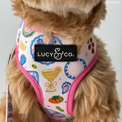 Lucy & Co. Dolce Vita Reversible Dog Harness, Adjustable Comfort Fit with Dual Leash Attachments, Medium