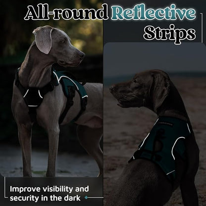 rabbitgoo Escape Proof Dog Harness for Medium, No Pull with Lift Handle | No Escape, Full Soft Padded, Reflective Adjustable Vest, Leash Clip for Walking Hiking Training, Dark Green, Medium