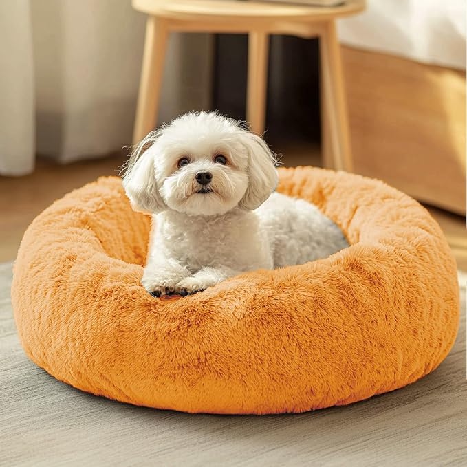 JOLLYVOGUE Dog & Cat Bed, Calming Anti-Anxiety Pet Bed for Small Dogs, Fluffy Donut Cushion for Small and Medium Pets (20")