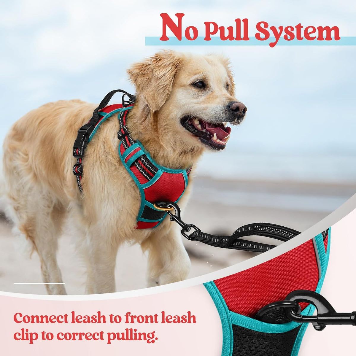 rabbitgoo Dog Harness No Pull with 2 Leash Clips, Adjustable Soft Padded, Reflective Oxford No Choke Pet Vest with Easy Control Handle for Large Dogs, Red & Teal, XL