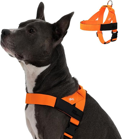 Dog Friendly Co. Dog Harness for Large Breeds (Hi-Vis Orange, Extra Large) | One Click Buckle, Chafe Resistant Webbing, Adjustable Neck & Chest, and Heavy Duty D-Ring, Sturdy Comfortable and Easy to Use