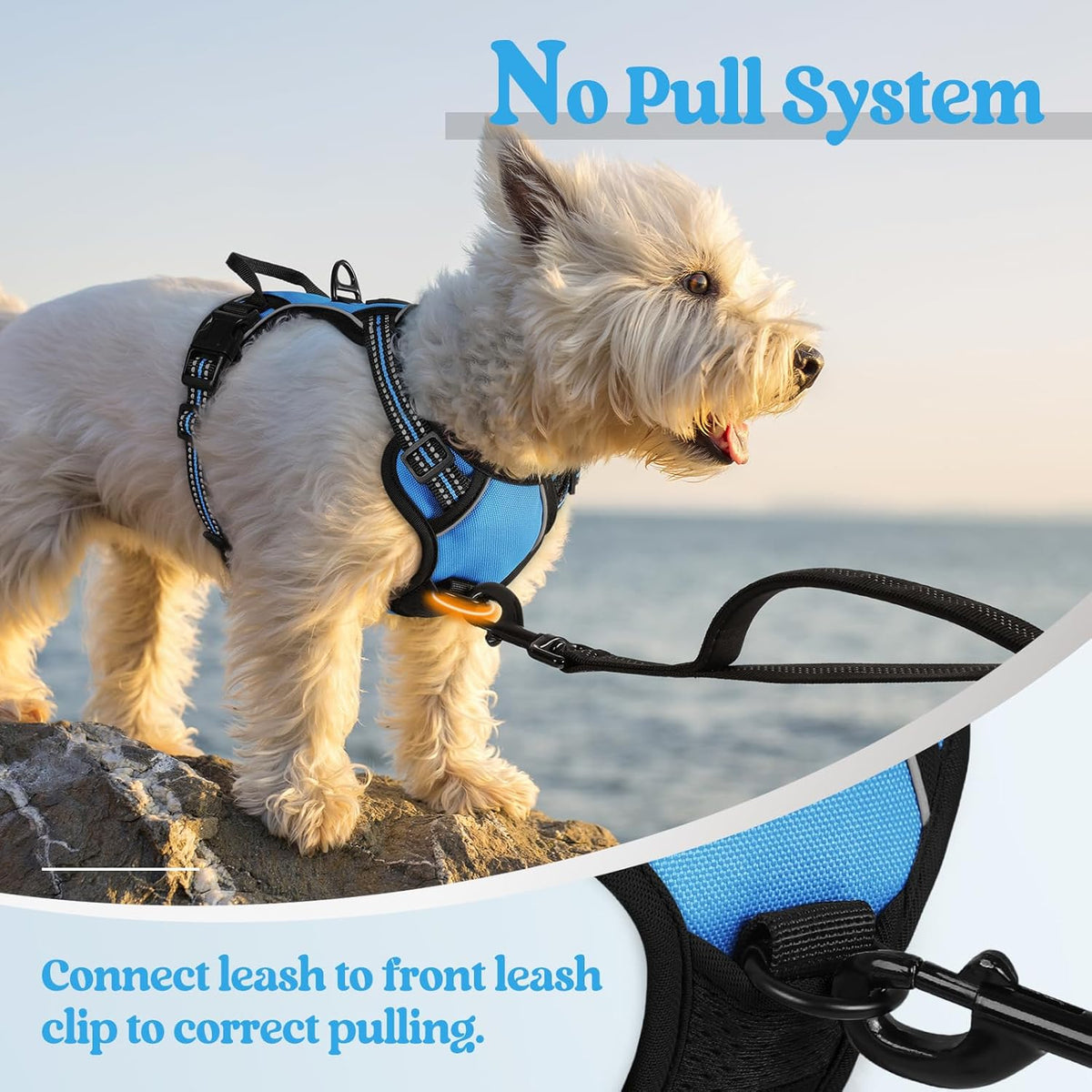 rabbitgoo Dog Harness No Pull with 2 Leash Clips, Adjustable Soft Padded, Reflective Oxford No Choke Pet Vest with Easy Control Handle for Puppy, Blue, XS