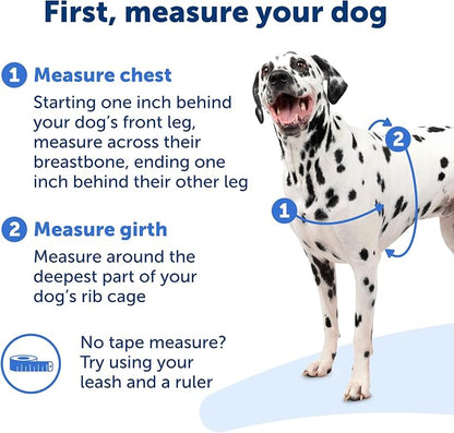 PetSafe Easy Walk Harness for Dogs - Pull-Free Walks - Patented Martingale Loop Design - Front Chest Leash Attachment - Comfort Straps - Breathable Harness Design - Large, Charcoal/Black(Pack of 3)