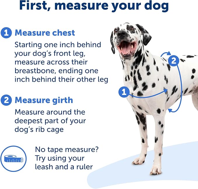 PetSafe Easy Walk Harness for Dogs - Pull-Free Walks - Patented Martingale LoopDesign-Front Chest Leash Attachment - Comfort Straps-Breathable Harness Design-Small,Charcoal/Black (Pack of 3)