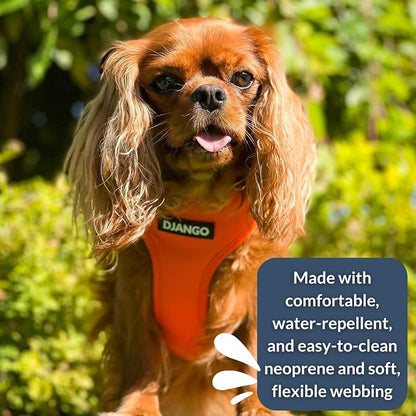 Adventure Dog Harness - Stylish, & Durable Medium Dog Harness for Outdoor Adventures and Everyday Wear - Sunset Orange Neoprene Adjustable Harness for Dogs with Reflective Piping & Brass D-ring