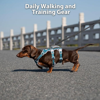 Escape Proof Dog Harness, Escape Artist Harness, Fully Reflective Harness with Padded Handle, Breathable, Durable, Adjustable Vest for Small Dogs Walking, Training, and Running Gear (Teal,S)