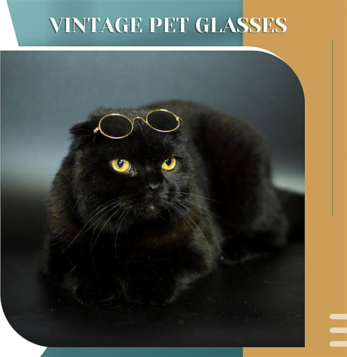 Dog Sunglasses Retro Pet Glasses Doll Glasses Classic Round Dog Glasses Metal Cat Puppy Eye Wear Hippie Costumes for Cats and Dogs, Photos Props Cosplay Party Costume (Gold,No Lens Style)