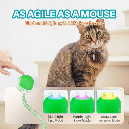 Interactive cat Toy cat Toys for Indoor Cats Agile Moving Cat Ball with Elastic Mesh Tail Automatic Kitten Toys Motion Activated Ball (Green)