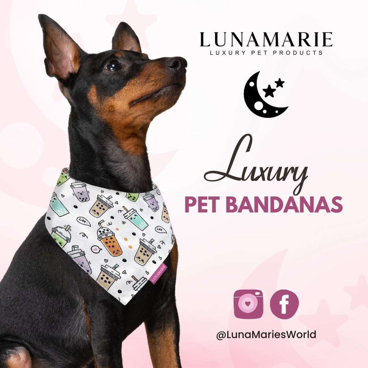 LunaMarie - Luxury Pet Birthday Bandanas -Premium & Silky Poly Fabric | 100% Handmade | Custom Shape Dual Layered (Boba, X-Small)
