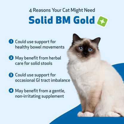 Pet Wellbeing BM Tone-Up Gold for Dogs & Cats - Supports Healthy Digestive Function, Solid Stools, Normal Bowel Movements, Bayberry - Veterinarian-Formulated Herbal Supplement 4 oz (118 ml)