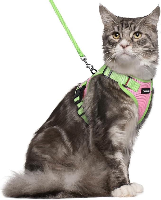 rabbitgoo Cat Harness and Leash Set, Escape Proof Soft Adjustable Vest Harnesses for Outdoor Walking, Easy Control Breathable Kitten Jacket with Reflective Strips, Pink & Light Green, M