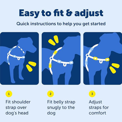PetSafe Easy Walk Harness, No Pull Dog Harness, Raspberry, Large | Patented Martingale Loop Gives Gradual Shoulder Pressure to Stop Pulling, Front-Chest Leash Clip Prevents Gagging