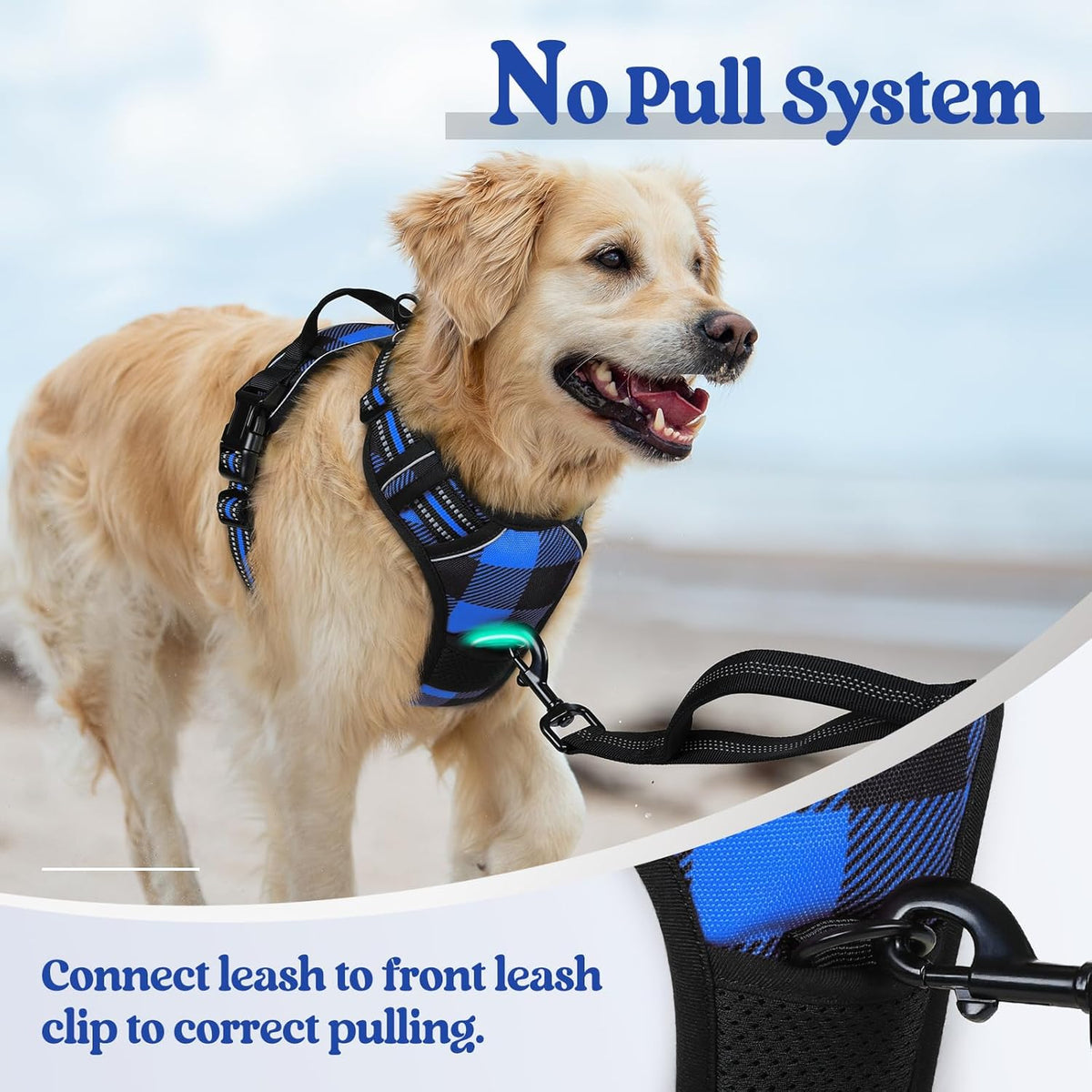 rabbitgoo Dog Harness No Pull with 2 Leash Clips, Adjustable Soft Padded, Reflective Oxford No Choke Pet Vest with Easy Control Handle for Medium Sized Dogs, Blue Plaid, M