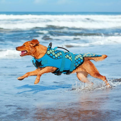 Mermaid Dog Life Jacket - Lightweight Dog Swimming Vest, High Buoyant for Small, Medium, Large Dogs (Blue, M)