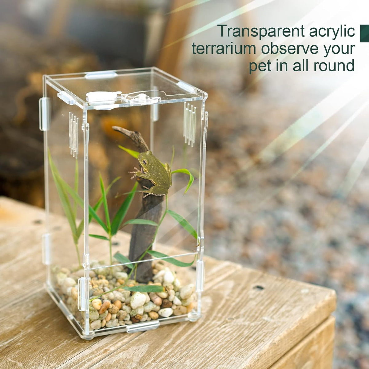 BETAZOOER Acrylic Mini Reptile Tank Habitat Transparent Terrariums with Locking Latch Suitable for Tarantula Isopod Roach Invertebrates (8''x6''x14'')