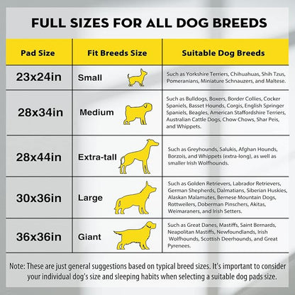 CROCI Charcoal Pee Pads for Dogs Odor Control Leak Proof 23x24in 100Ct | Super Absorbent Dog Pee Pads with Adhesive Tabs, Heavy Duty, Dog Potty Training, Quick-Dry Surface, Disposable