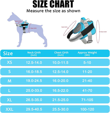 Bolux Dog Harness, No-Pull Reflective Dog Vest, Breathable Adjustable Pet Harness with Handle for Outdoor Walking - No More Pulling, Tugging or Choking (OceanicBlue, Small (Pack of 1))