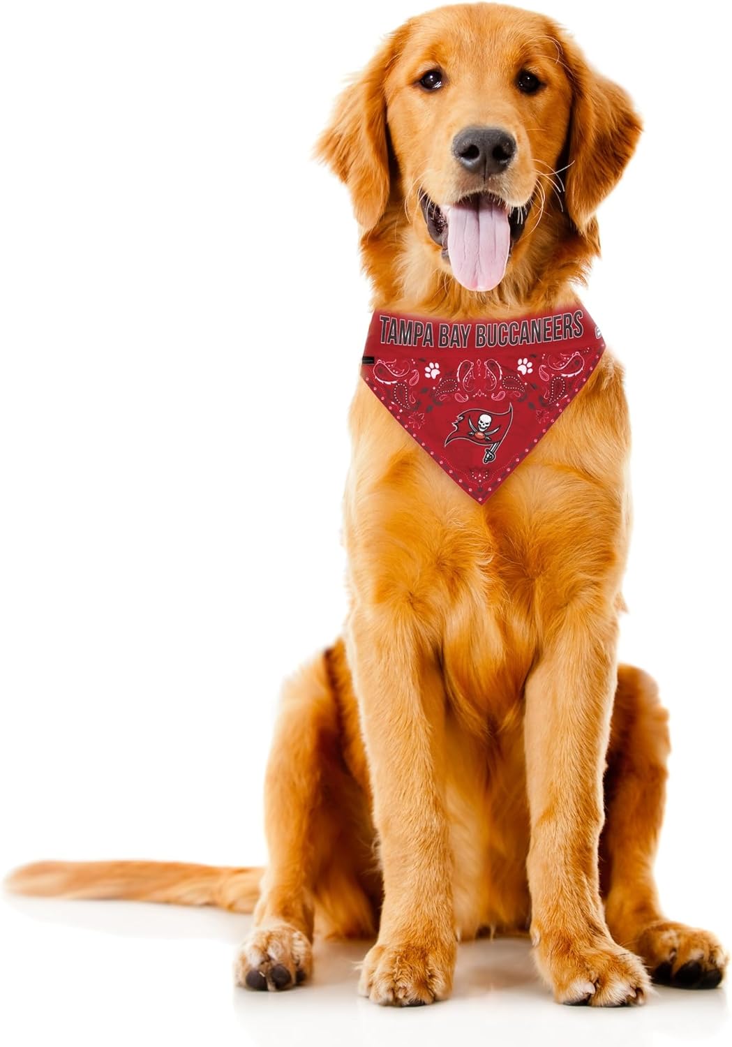 Littlearth NFL Pet Bandana - Reversible