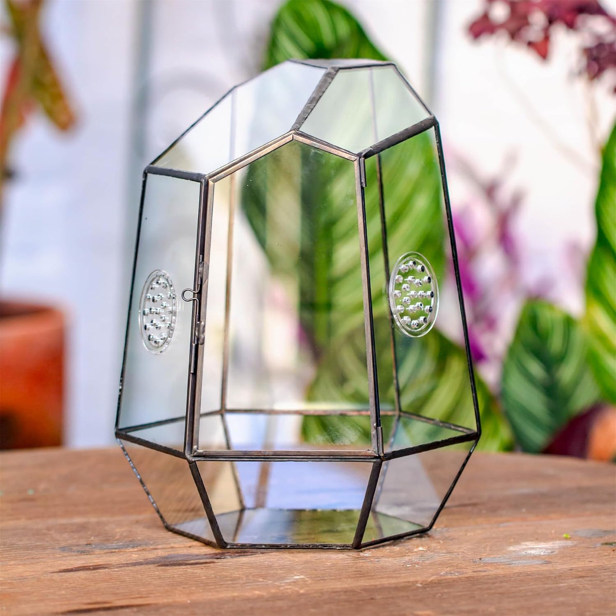 NCYP Closed Geometric Glass Enclosure with Front Opening Door & 2 Vent Holes for Insects, Succulent, Cacti - 7.9"x6.9"x9.8" Black Irregular Terrarium Planter - Home Garden Tabletop Decor (No Plants)