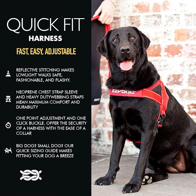 EzyDog Quick Fit Dog Harness, Soft Neoprene Padding - Small, Red | Fast One-Click Buckle, Adjustable Fit, Strong Reinforced Materials, Reflective Stitching, No Pull Dog Harness, Easy Walking