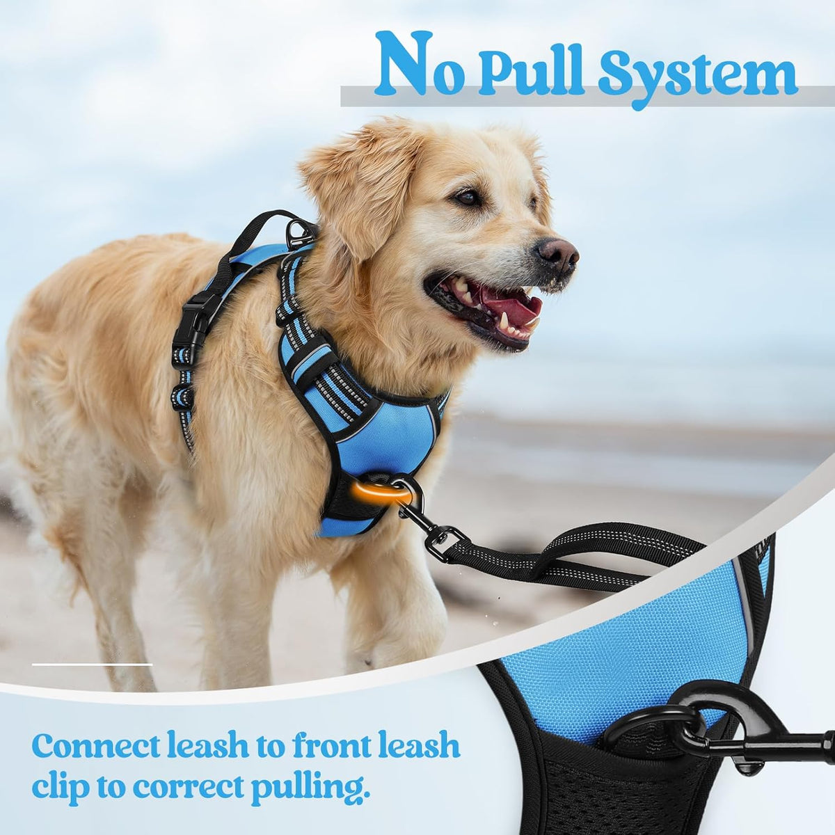 rabbitgoo Dog Harness No Pull with 2 Leash Clips, Adjustable Soft Padded, Reflective Oxford No Choke Pet Vest with Easy Control Handle for Large Dogs, Blue, XL