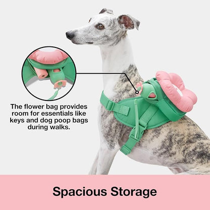 VETRESKA Flora Dog Harness, Leash and Collar Set, No Pull Vest Harness, M | for Walking and Training, Adjustable, Easy Control and Soft Padded Pet Harness and Backpack for Small Medium Large Dogs