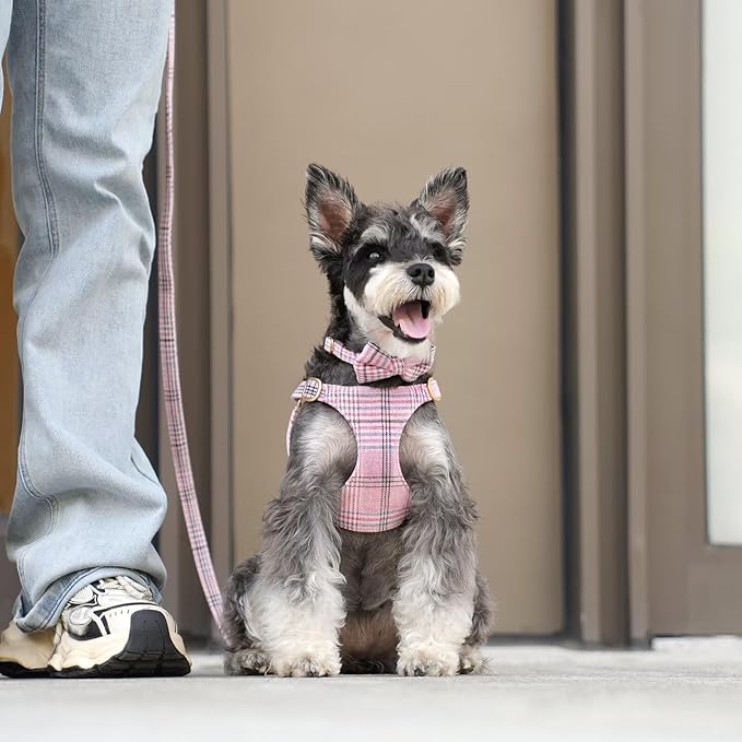 Beirui Cute Extra Small Dog Harness Collar and Leash Set with Bowtie, Soft Adjustable Plaid Puppy Harness for Small Sized Dogs Cats Walks Parties and Photoshoots(Pink,XS:Chest 13-18")