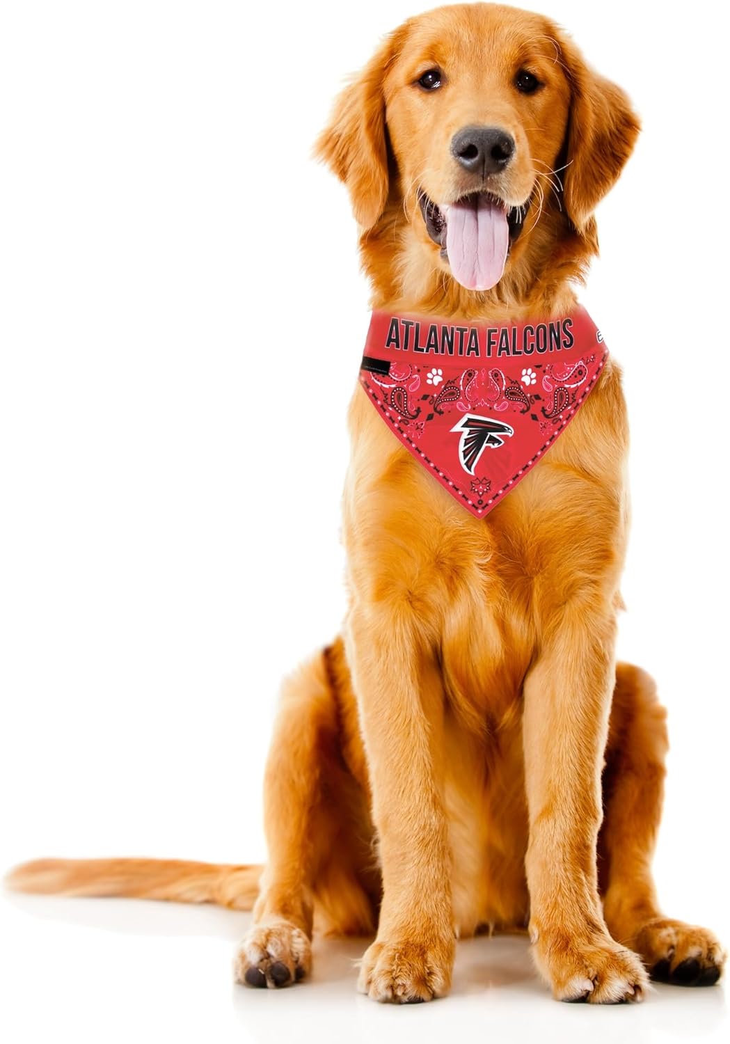 Littlearth NFL Pet Bandana - Reversible