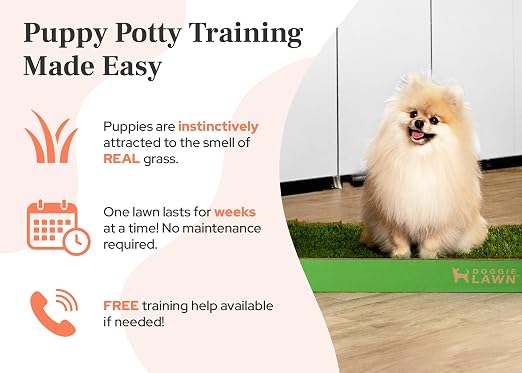 DoggieLawn Real Grass Dog Pee Pads with Tray - Mini Dog Potty Pad 24x9 | No-cleaning, odor-reducing puppy potty training pad for housebreaking, indoor or outdoor use, real grass, replace when needed