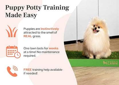 DoggieLawn Real Grass Dog Pee Pads with Tray - Mini Dog Potty Pad 24x9 | No-cleaning, odor-reducing puppy potty training pad for housebreaking, indoor or outdoor use, real grass, replace when needed
