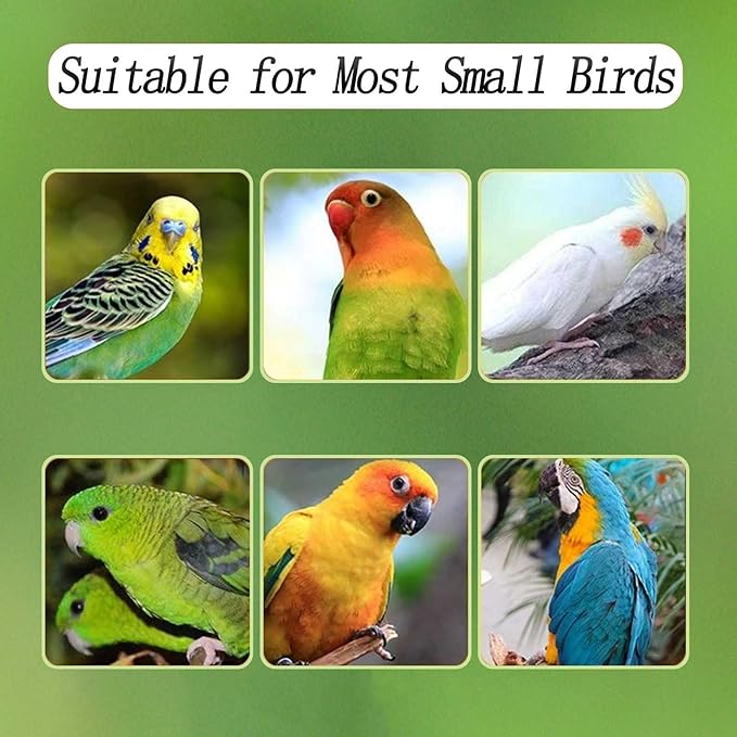 Automatic Bird Feeder for Cage, Automatic Acrylic Bird Feeder No Mess Bird Cage for Small Bird Parrots Canary Parakeet Budgerigar Crested Myna Cockatiel (Large)