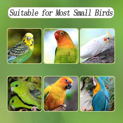 Automatic Bird Feeder for Cage, Automatic Acrylic Bird Feeder No Mess Bird Cage for Small Bird Parrots Canary Parakeet Budgerigar Crested Myna Cockatiel (Large)