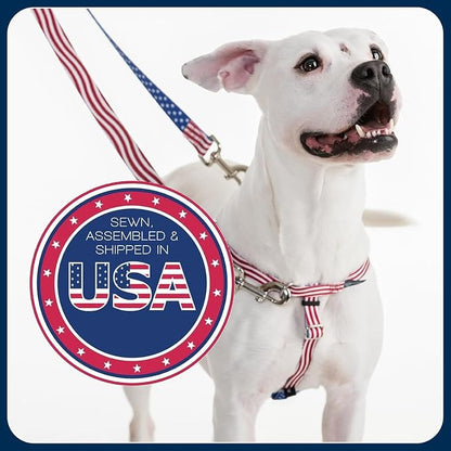 2 Hounds Design Freedom No Pull Dog Harness, Adjustable Harness and Leash Set, Easy Walking & Comfortable Control, Fits Small, Medium & Large Dogs, Solid Colors, Made in USA, 1" LG, Teal