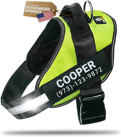 Personalized Dog Harness with Custom Name Patches, Adjustable Reflective No Choke Dog Vest with Handle for Small Sized Dog, Green, S