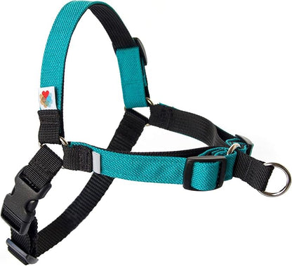 No Pull Dog Harness | Comfortable Training Harnesses | Effective No Pull Harness Design | Ideal for Large Sized Dog | 4-Point Adjustable(XL - 30~36 inch Girth, Turquoise)