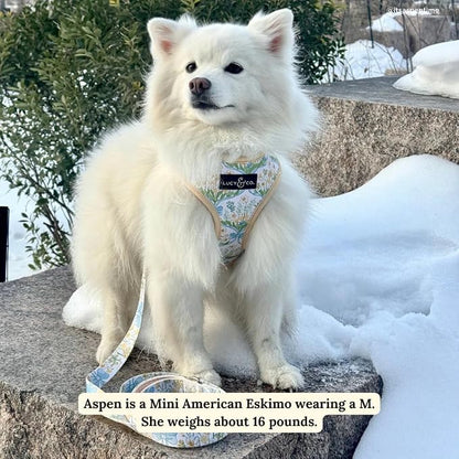 Lucy & Co. Reversible Dog Harness - Water-Repellent Neoprene, Dual-Print Design, Easy Swap Style, Adjustable Comfort Fit - Sunshine Daffodils Reversible Harness - Large