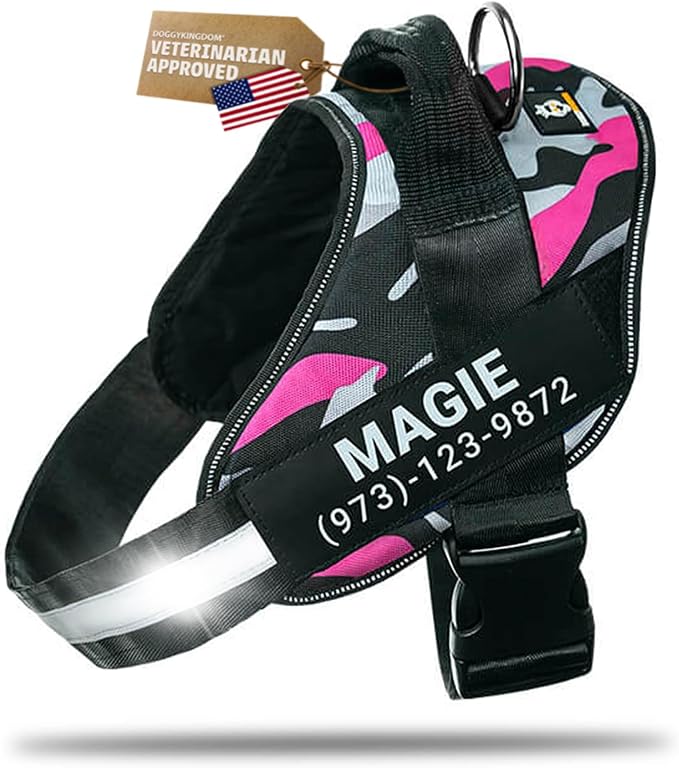 Personalized Dog Harness with Custom Name Patches, Adjustable Reflective No Choke Dog Vest with Handle for Small Sized Dog, Camouflage Pink, S