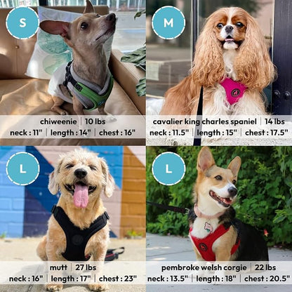 Gooby Escape Free Sport Dog Harness, Choke-Free, Turquoise, Small | Patented escape-free frame; Reduces choking; 4-point adjustment; Soft neoprene padding; Durable webbed straps