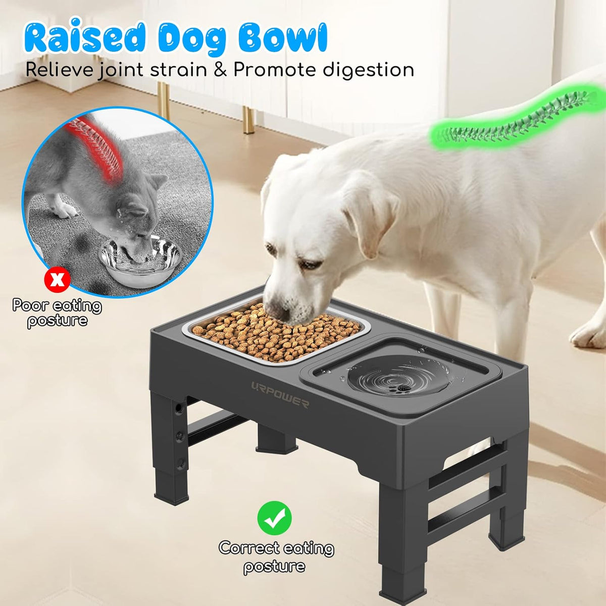 URPOWER 2-in-1 Elevated Dog Bowls 4 Height Adjustable Raised Dog Bowls with No Spill Water Bowl and Stainless Steel Food Bowl Non-Slip Stand for Small Medium Large Dogs