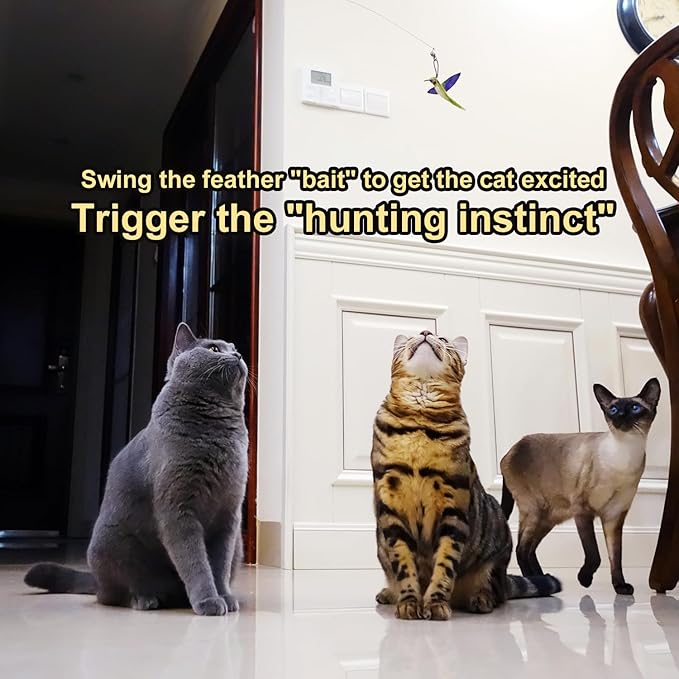 TTcat Cat Feather Toys Replacement,3 Pcs Hummingbird Insect Feathers Refills for Cat Wands.