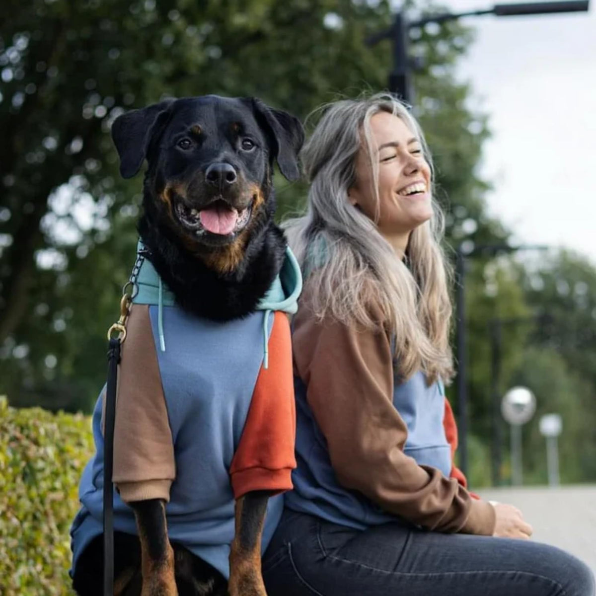 Spark Paws Dog Hoodie – Premium Dog Sweater for Small, Medium, and Large Dogs | Warm Outfits for French Bulldogs, Pitbull, Puppy, Winter Jacket Alternative - Alpine - 4XL