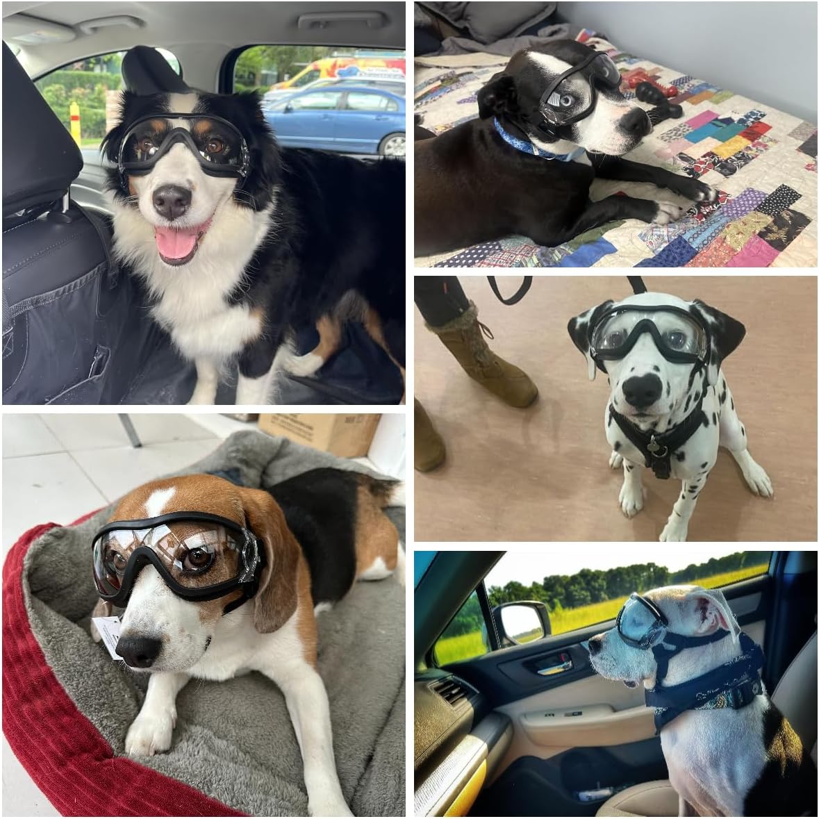 Dog Goggles Anti-UV Windproof Dog Sunglasses Eye Protection for Medium Large Dogs with Adjustable Straps/Clear Lense