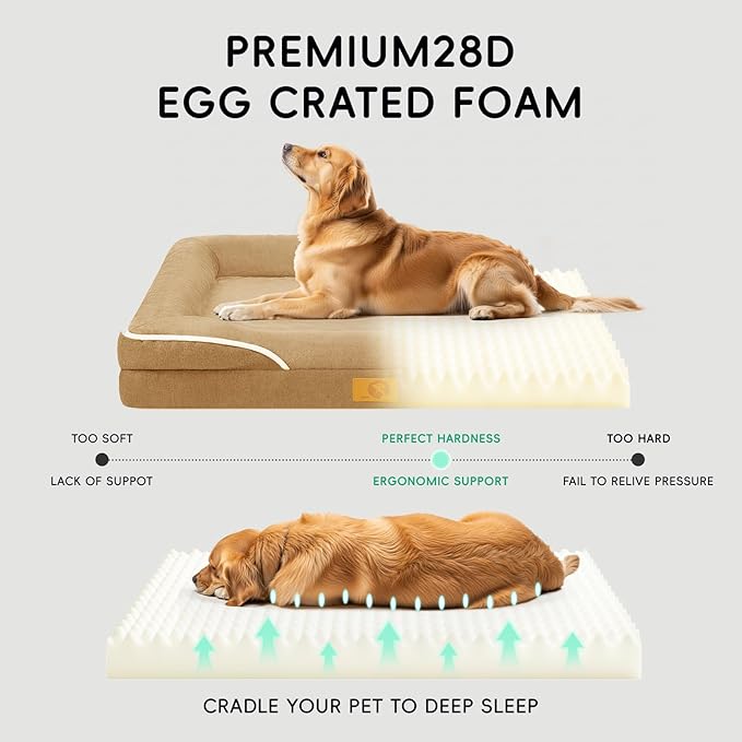 Homemate Dog Bed Large Sized Dog: 42"x30" Orthopedic Pet Bed with Toy | Large Dogs Bed with Non-Slip Botton & Removable Washable Cover Cat Bed Sofa XL Outdoor Crate Pad Couch Brown